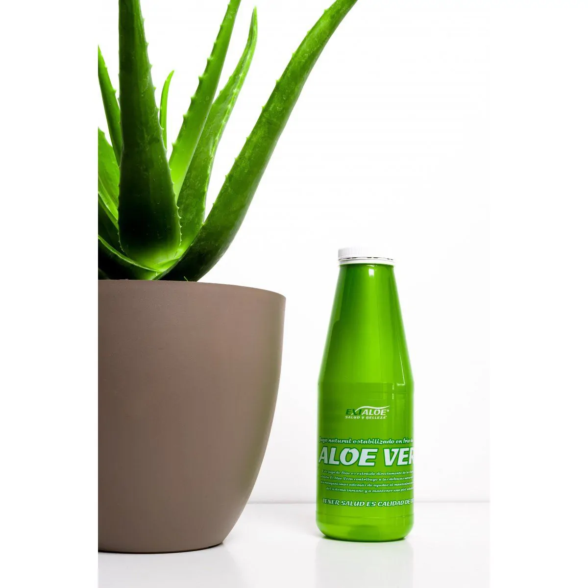 Comprar Jugo de Aloe Vera 100% Natural 1 litro - Ibizaloe
