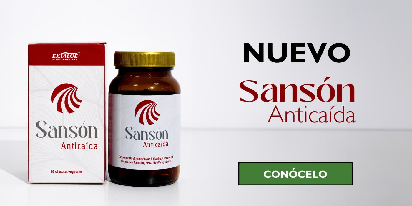 Sansón Anticaída